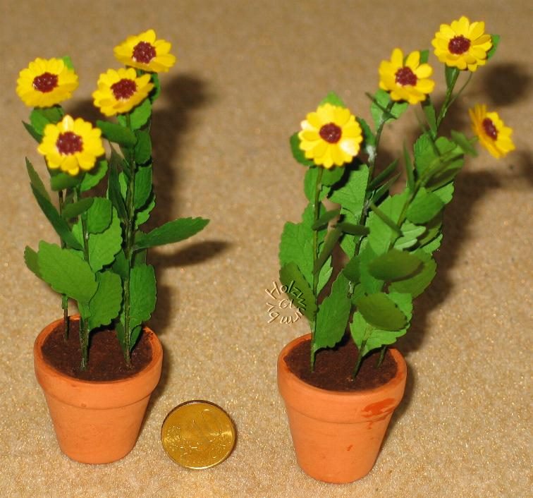 Sonnenblumen gro-w